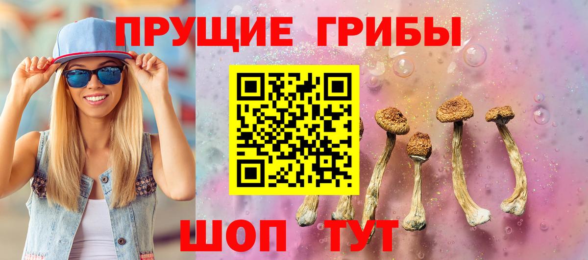 Галлюциногенные грибы Psilocybine cubensis  Псилоцибиновые грибы Psilocybe  Энгельс  Вход с VPN 